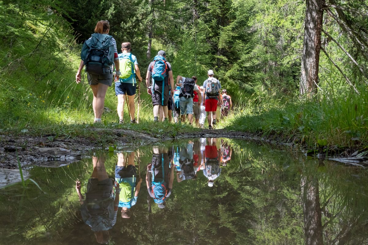 Wandern und die Natur im Taunus erleben