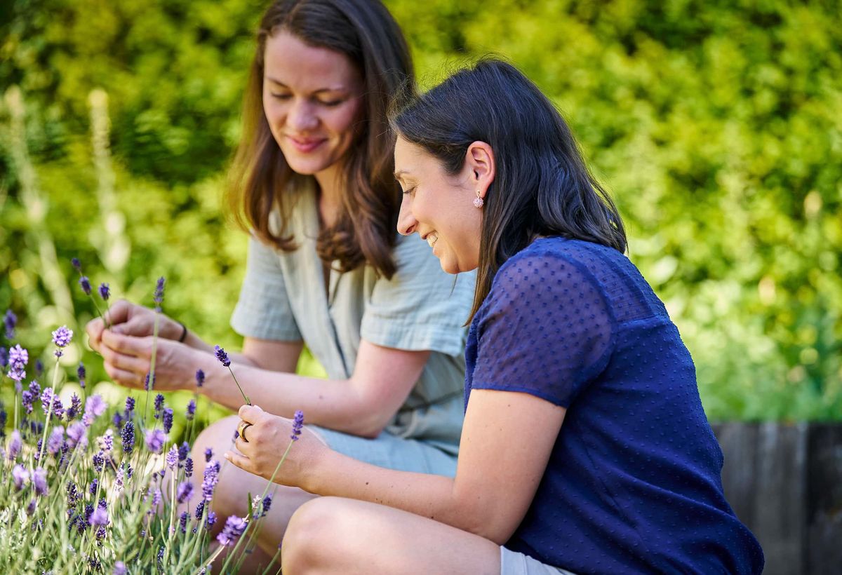 In der Ausbildung zur Heilpflanzen-Expert:in lernst Du verschiedene Heilkräuter zu erkennen, darunter den Lavendel, wie in diesem Bild.