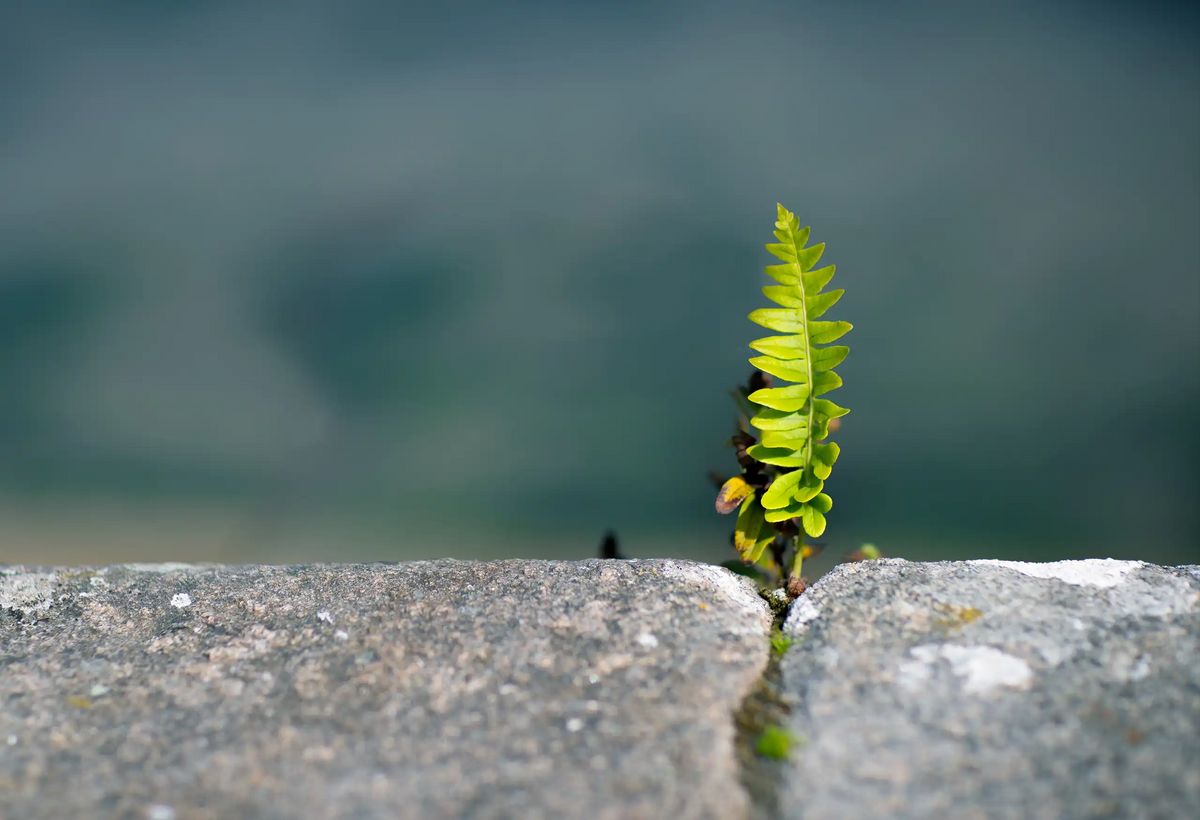 Resilienz-Seminar um den Bodenwellen des Lebens gekonnt zu begegnen