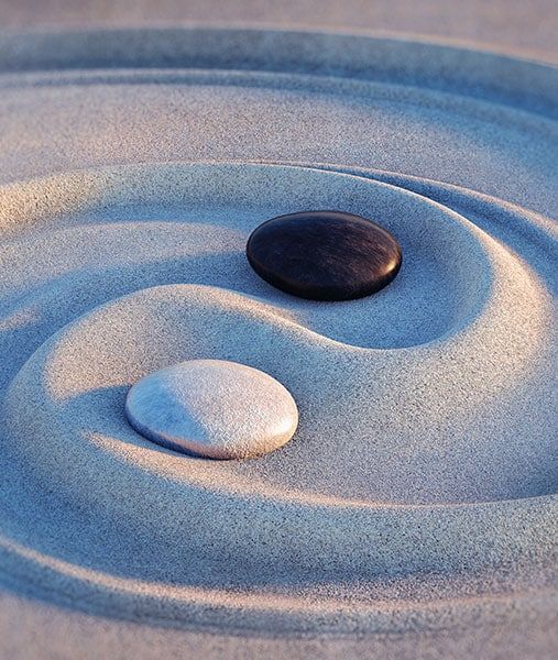 Bilde Dich weiter im Yin & Yang – Emotionen und Organe in Balance Seminar hier an der Akademie Gesundes Leben.
