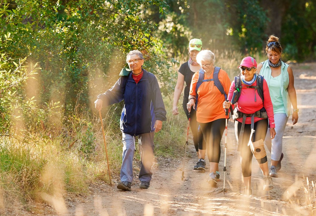 Bei uns kannst Du Basenfasten und Fastenwandern gleichzeitig. Die Wanderungen finden dabei in Hessen im Naturpark Taunus statt.