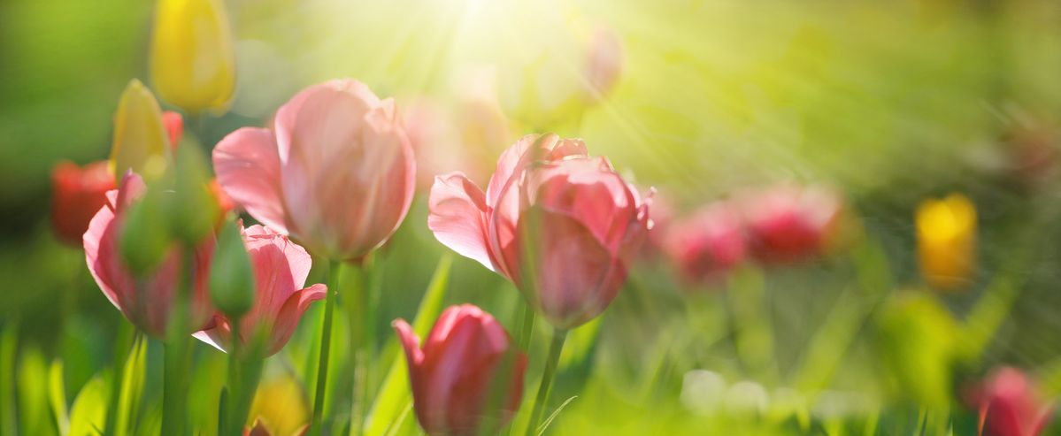 Oster-Retreat - Dein Start in den Frühling