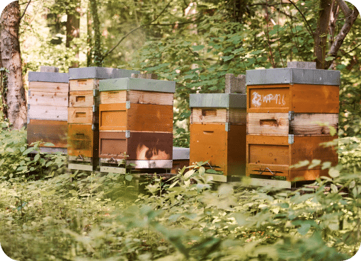 Unsere Gartenanlage ist der optimale Ort, um im Grünen zu relaxen & Wissen  zu vertiefen.