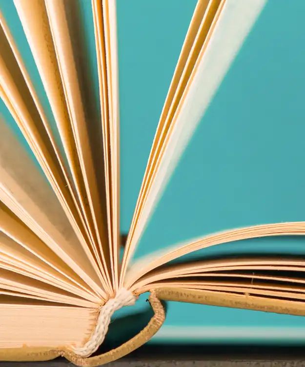 Lerne in unserer Weiterbildung, wie Du ganzheitlich Deine Gesundheit bei verschiedenen Indikationen stärken kannst.