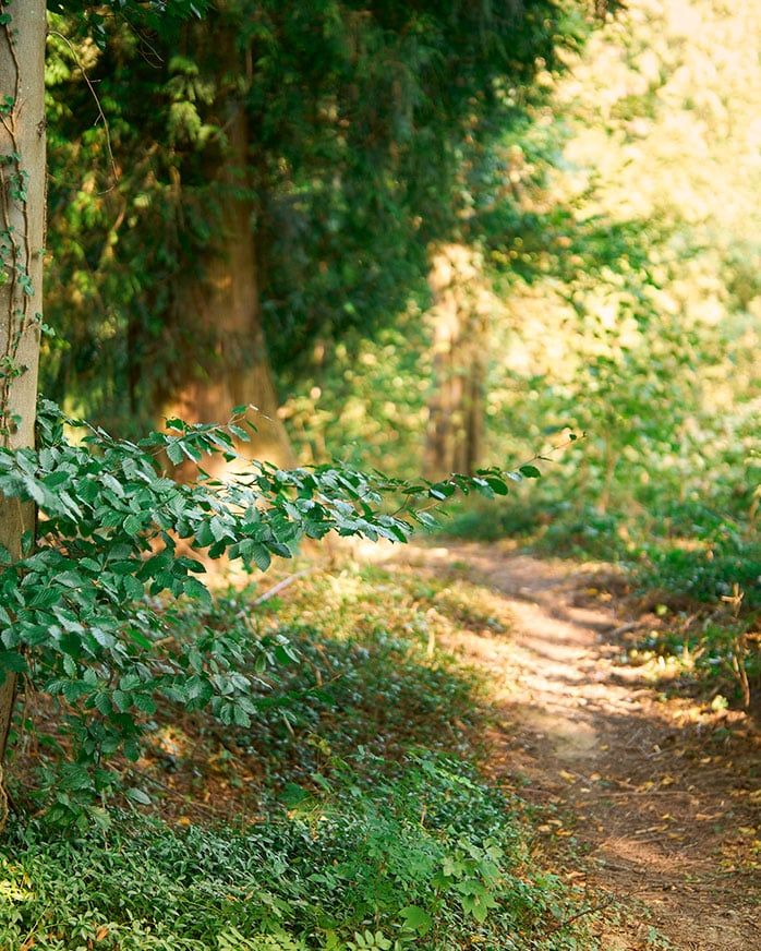 Natur-Resilienz-Trainer:in®