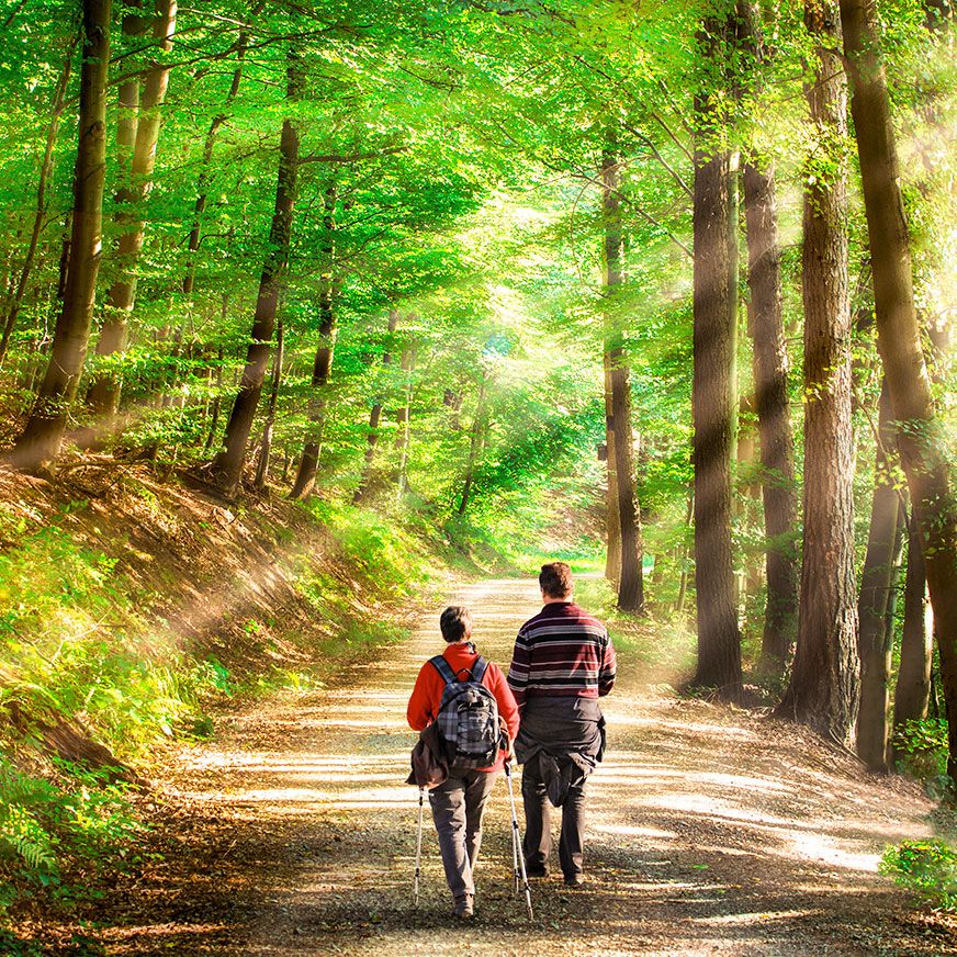 Buchinger Fasten & Wandern