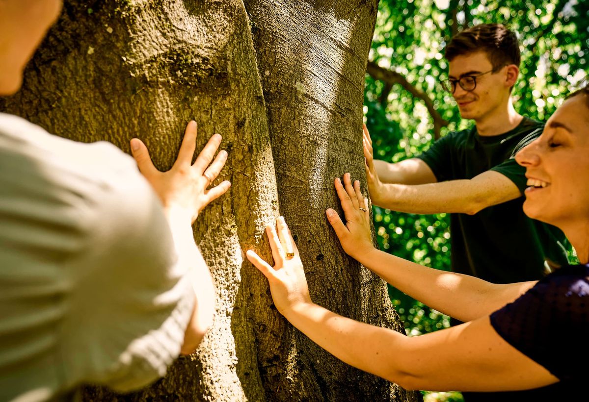 Die Natur kann uns helfen, unsere Stärke zu finden, Ruhe und Gelassenheit im Alltag zu erlangen und uns rundum wohlzufühlen.