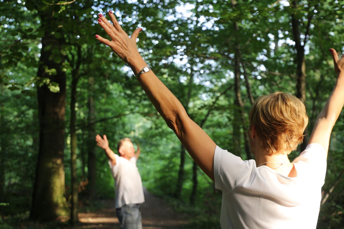 Natur-Retreat mit Waldbaden