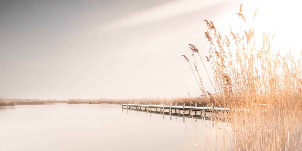 Meditations-Stille-Retreat