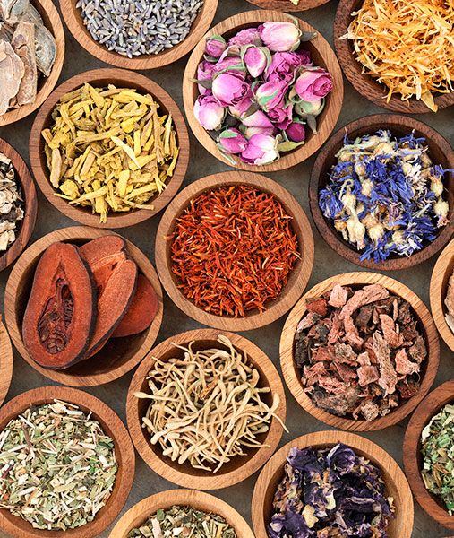 Besuche das Erlebnisseminar Ayurvedische Küche hier an der Akademie Gesundes Leben.