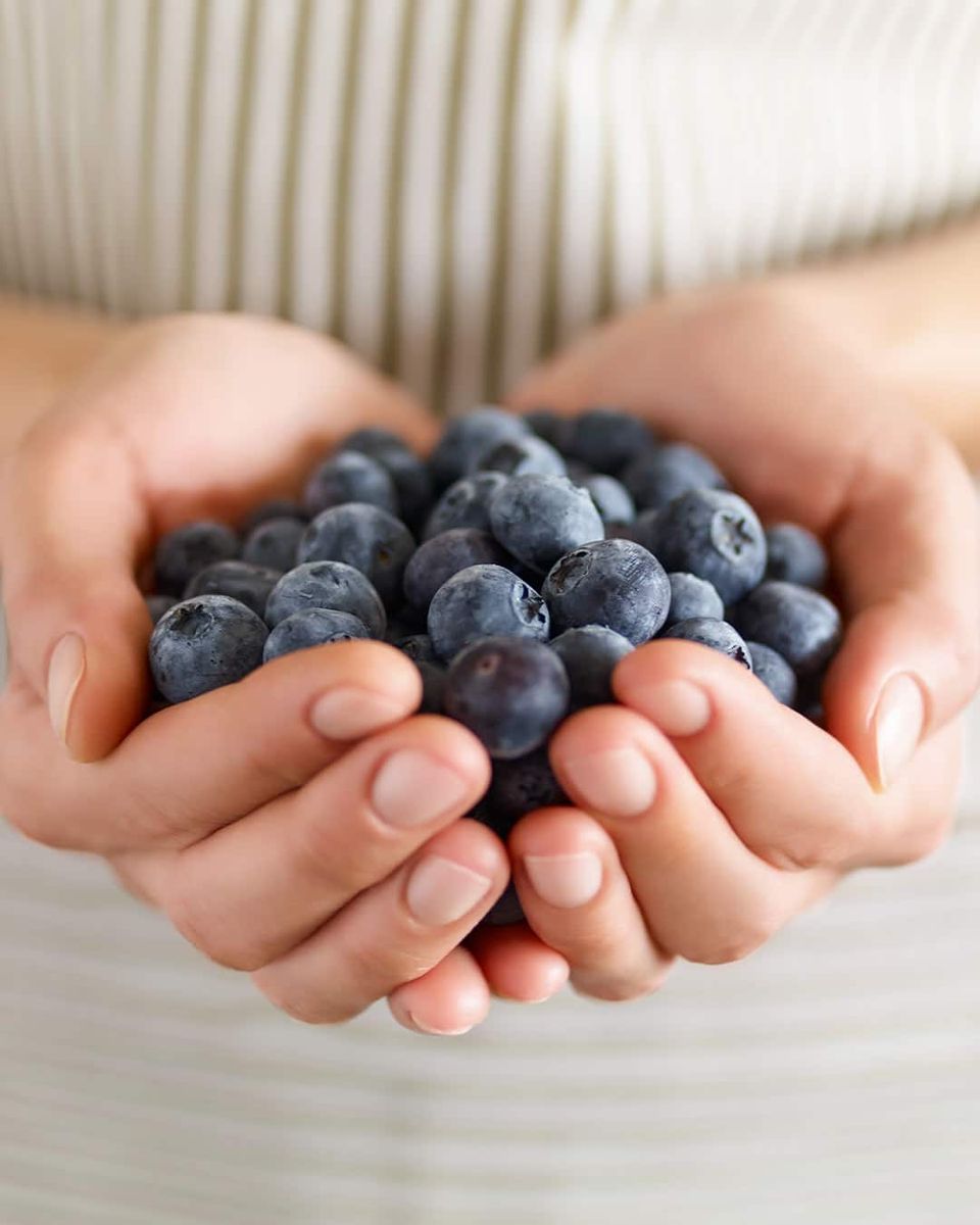 Komm in unser Seminar und lerne, wie Blaubeeren und andere Lebensmittel direkt schöne Haut, Haare etc. fördern.