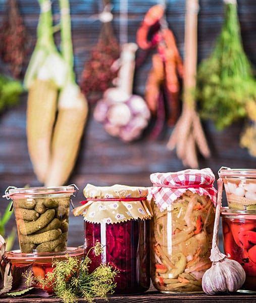 Besuche das Erlebnisseminar Fermentation lernen hier an der Akademie Gesundes Leben.