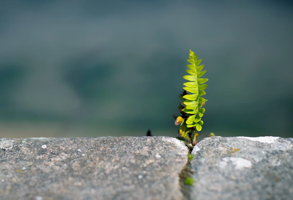 Resilienz-Seminar um den Bodenwellen des Lebens gekonnt zu begegnen