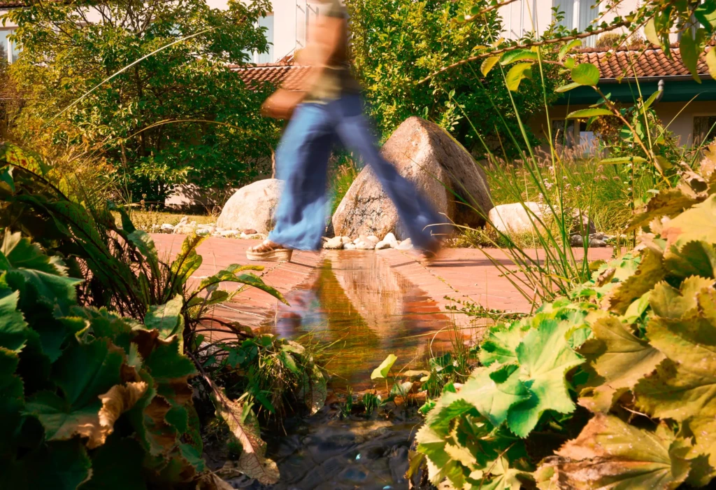 kleiner Backlauf am Eingang der Akademie