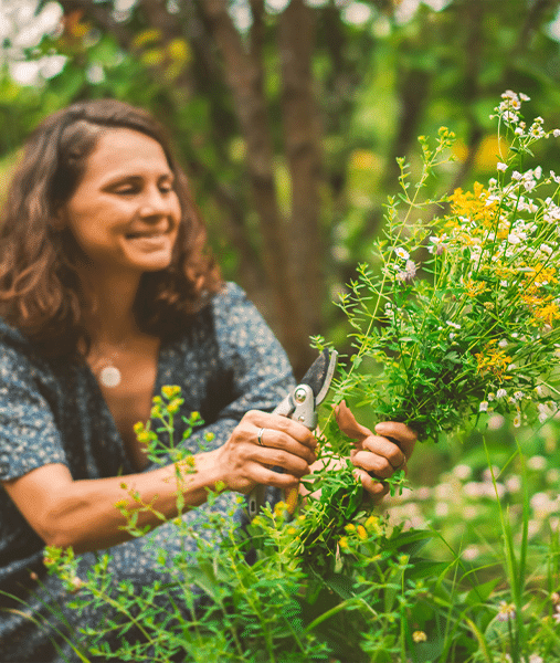 Wenn Du Dich mit Hildegard von Bingen näher befassen möchtest, kannst Du das wunderbar über unsere Seminar machen, denn Deine Seminarleiterin Susanne Neifer ist offizielle Referentin für Hildegard von Bingen und kann Dir alle Deine Fragen beantworten.