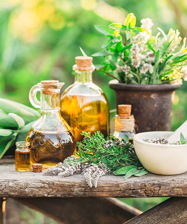 Entdecke die Natur als Heilquelle und erfahre mehr über die Rolle in der Prävention und Gesundheitsförderung.