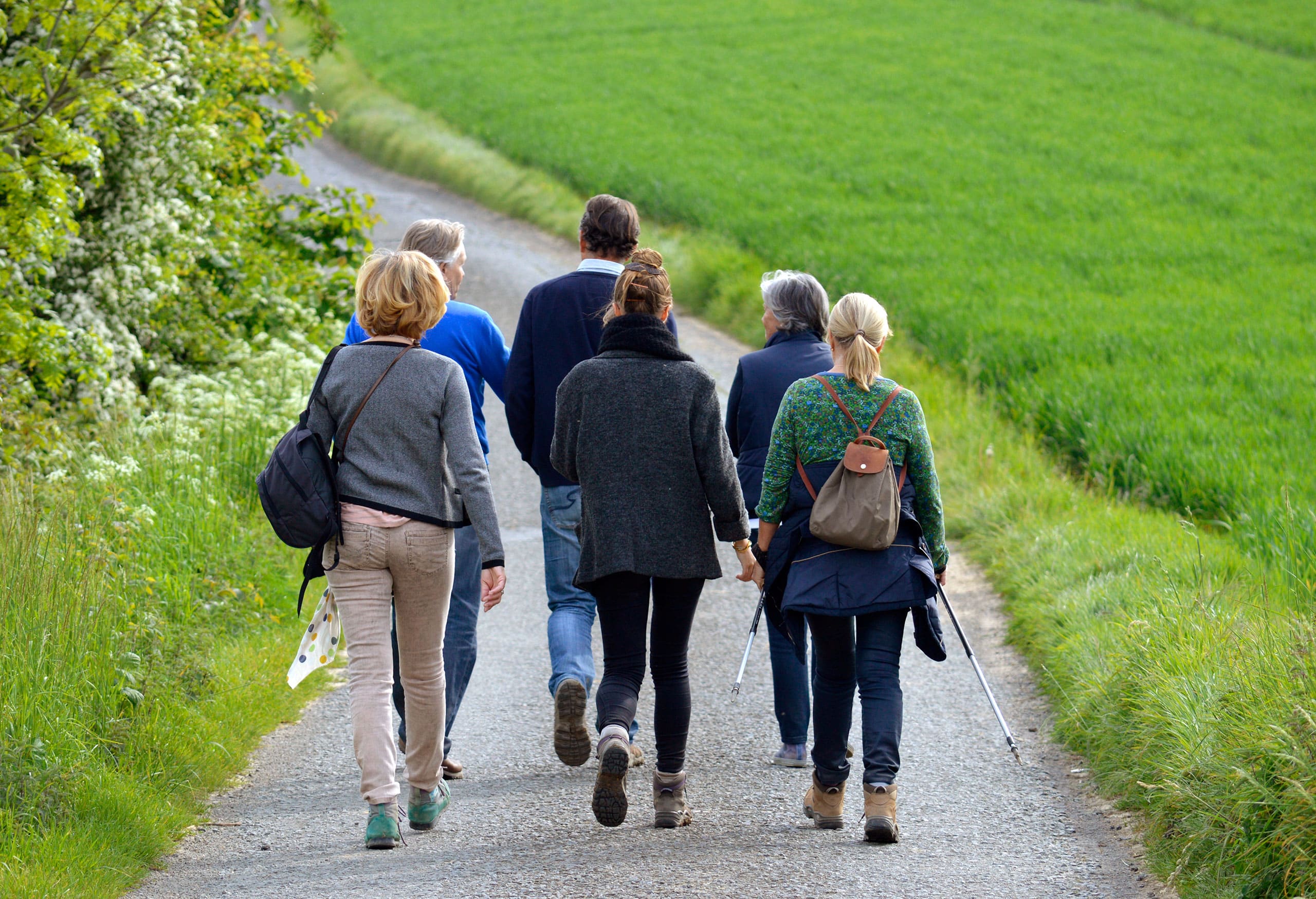 Die Kombination von Buchinger Fasten und Wandern verstärkt die Effekte des Fastens und wirkt Nebenwirkungen wie niedriger Kreislauf und Muskelabbau entgegen.