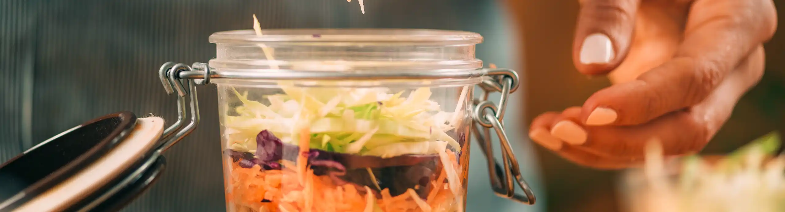 Erfahre alles über Fermentieren mit Laktobazillen, Milchfermentation & warum fermentierte (probiotische) Lebensmittel gesund sind.