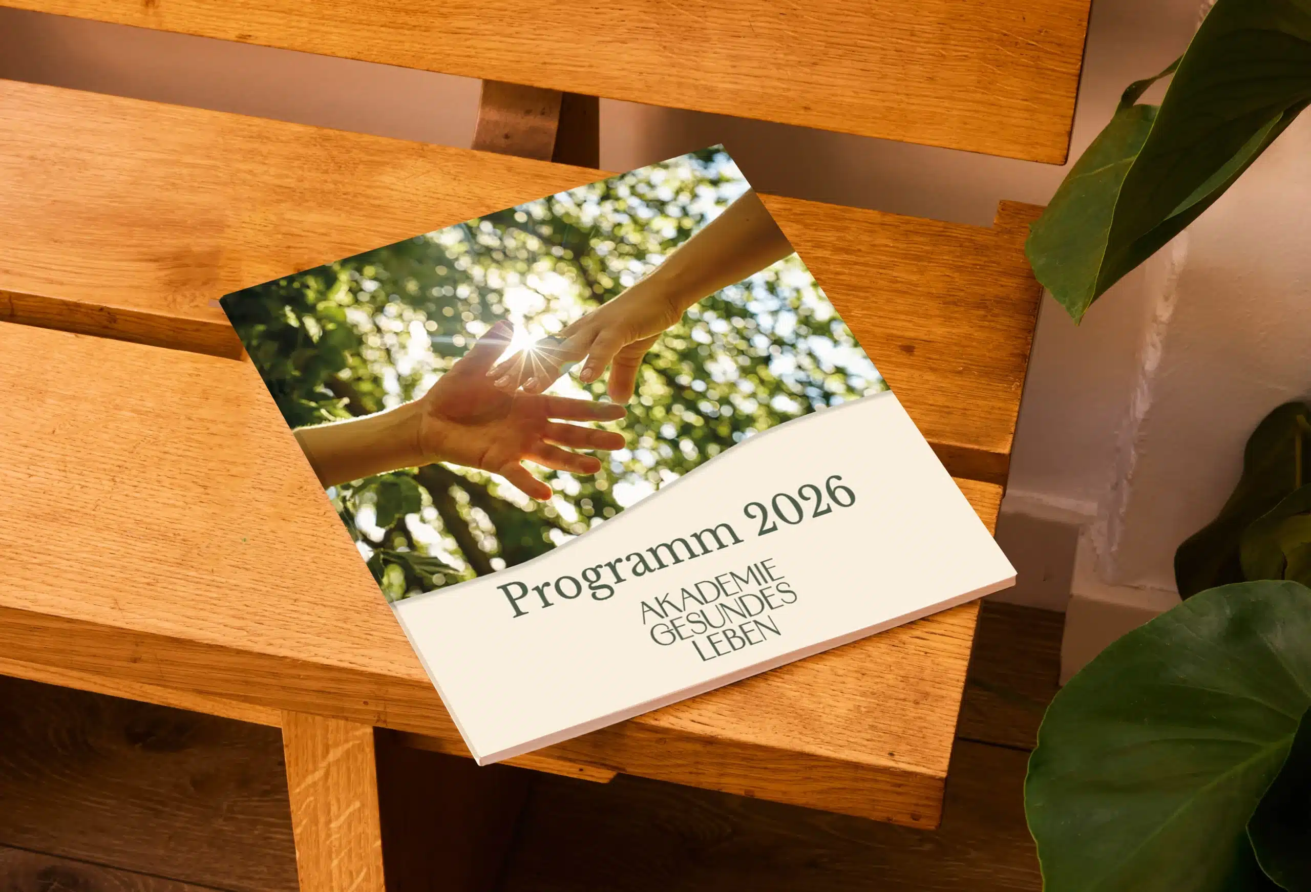 Hier ist unser aktuelles Programm zum Herunterladen. Darin findest Du kompakt die wichtigsten Infos zu allen Seminaren, Workshops und Ausbildungen im Bereich Gesundheit, Wohlbefinden und Persönlichkeitsentwicklung.