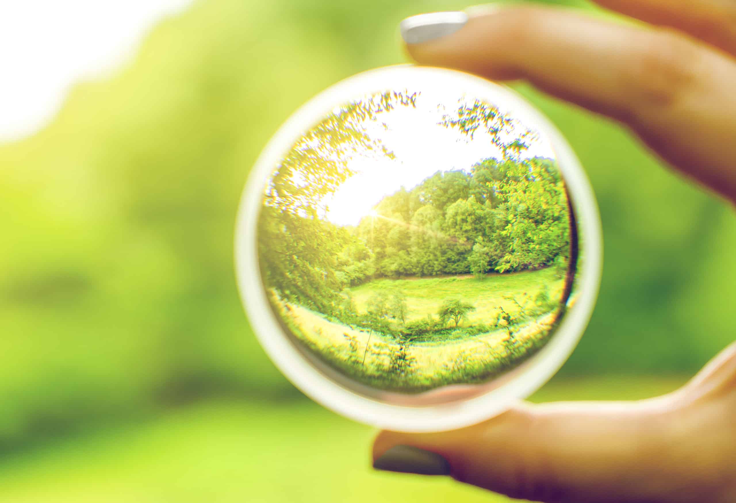 viele Menschen sitzen tagtäglich zu viel vor einem Bildschirm und merken, wie ihre Sehstärke nachlässt. In diesem Bildungsurlaub lernst Du, wie Du etwas dagegen tun kannst.