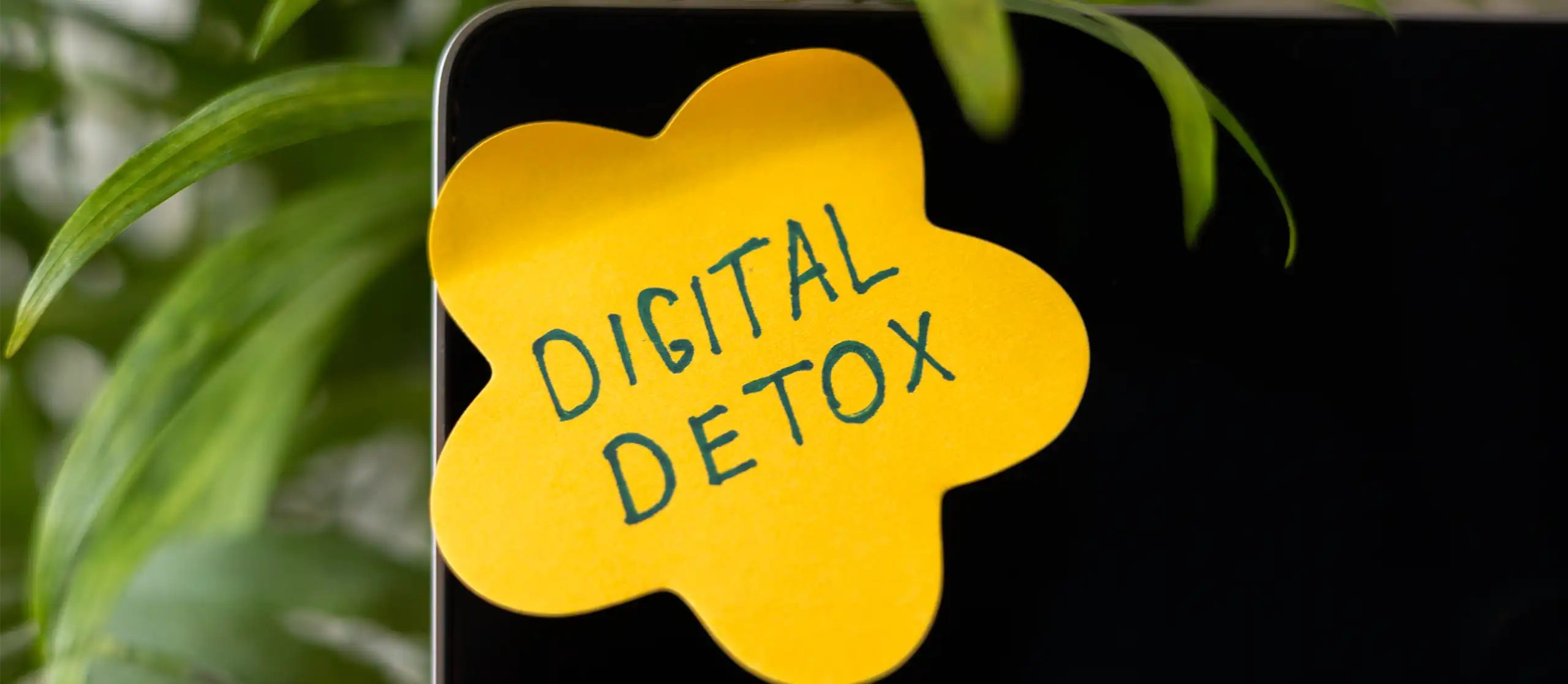 Sieben Übungen für Digital Detox 