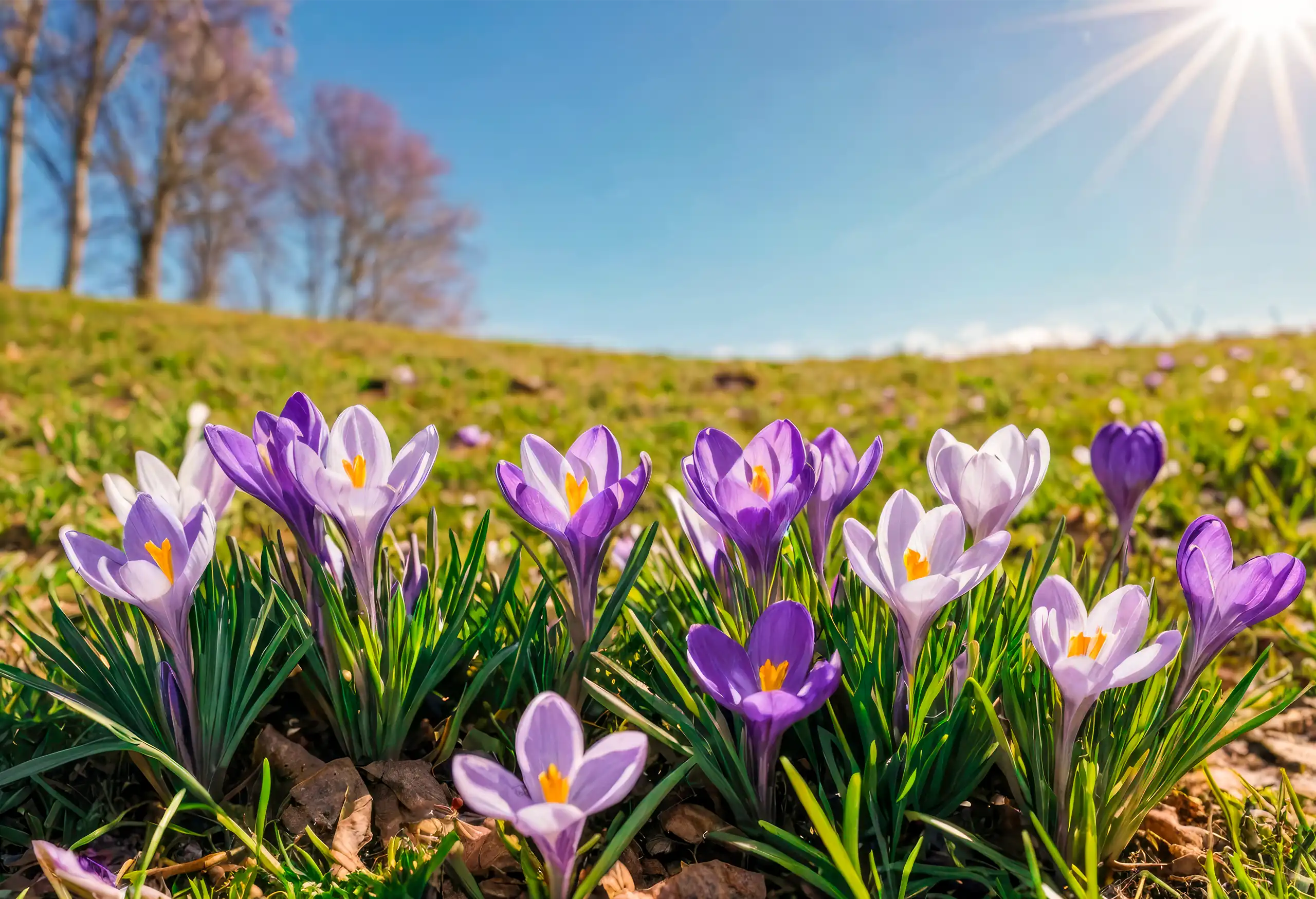 Kapha als Frühlingsenergie