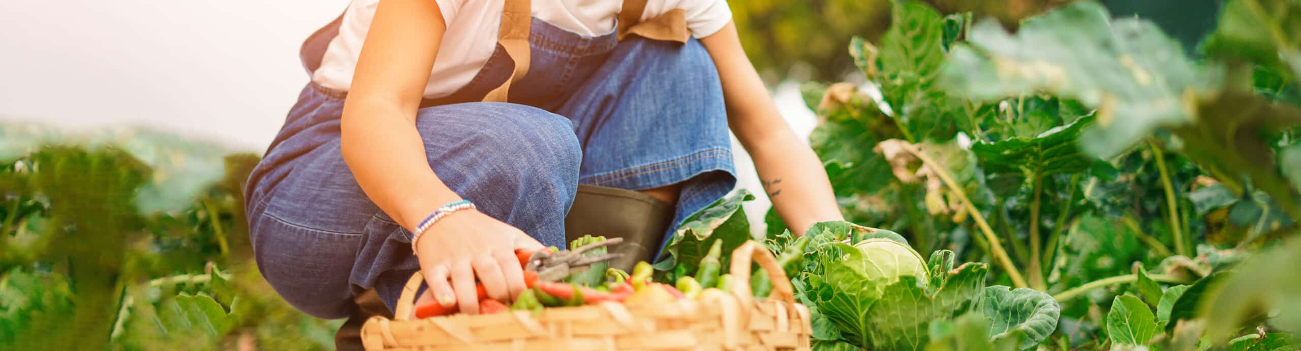 Gerade in Japan finden viele ältere Menschen ihr Ikigai in Gartenarbeit.