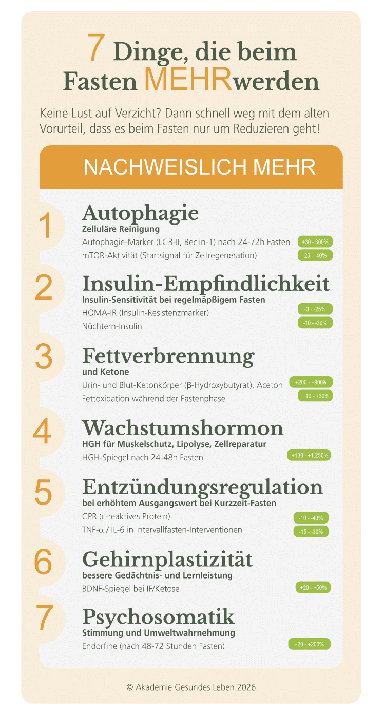 Hier siehst Du eine Grafik mit 7 Vorteilen, die Fasten auf unsere Gesundheit hat.